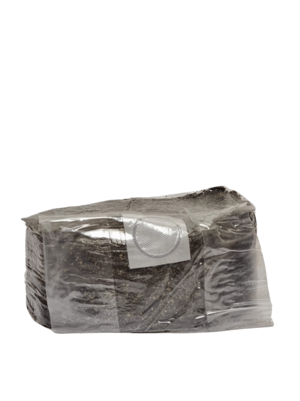 20230804_121716 Kokoso lukstu substratas