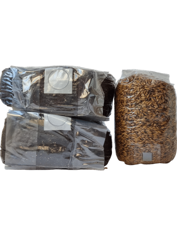 kokoso lukštų substrato rinkinys