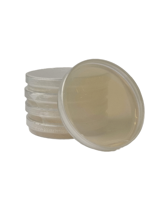 agaro petri leksteles