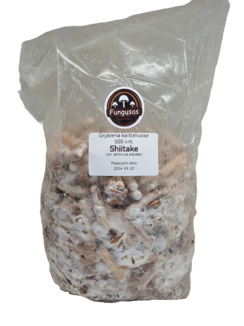 shiitake kaisteliai 500 vnt