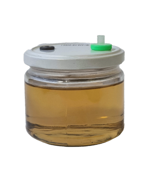 Sterili skysta terpė grybienai