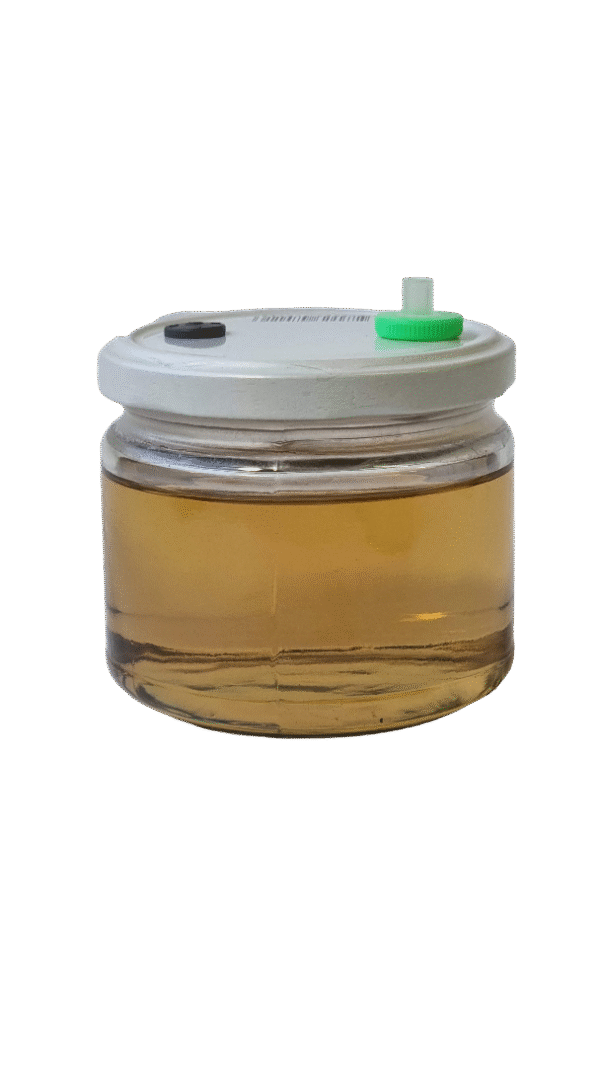 Sterili skysta terpė grybienai