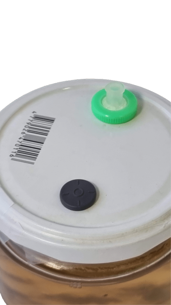 Skysta terpė grybienai 200ml