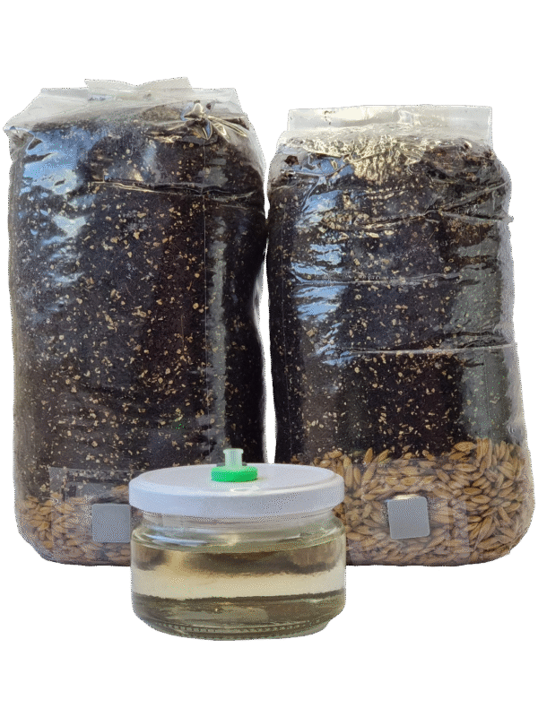 all-in-one kokoso lukštų substrato rinkinys