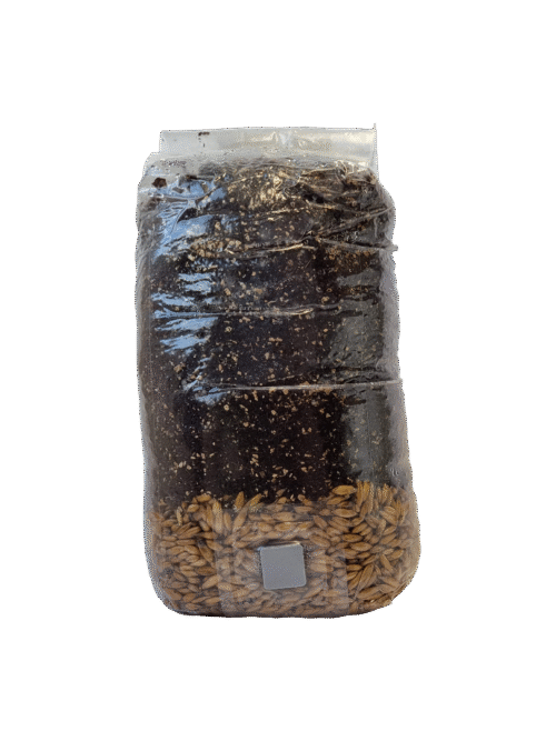 all-in-one kokoso lukštų substratas