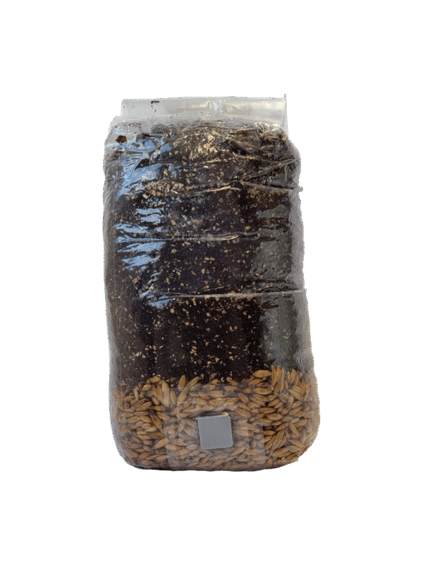 all-in-one kokoso lukštų substratas