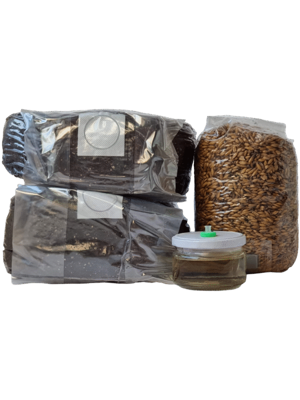 kokoso lukštų substrato rinkinys