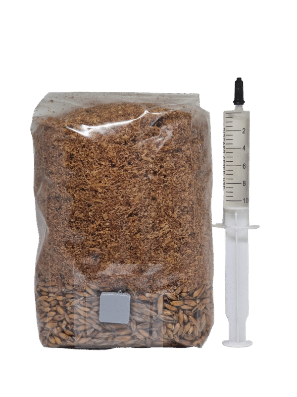 pradedančiojo grybų augintojo rinkinys