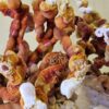 Reishi grybienos agaro Petri lėkštelė