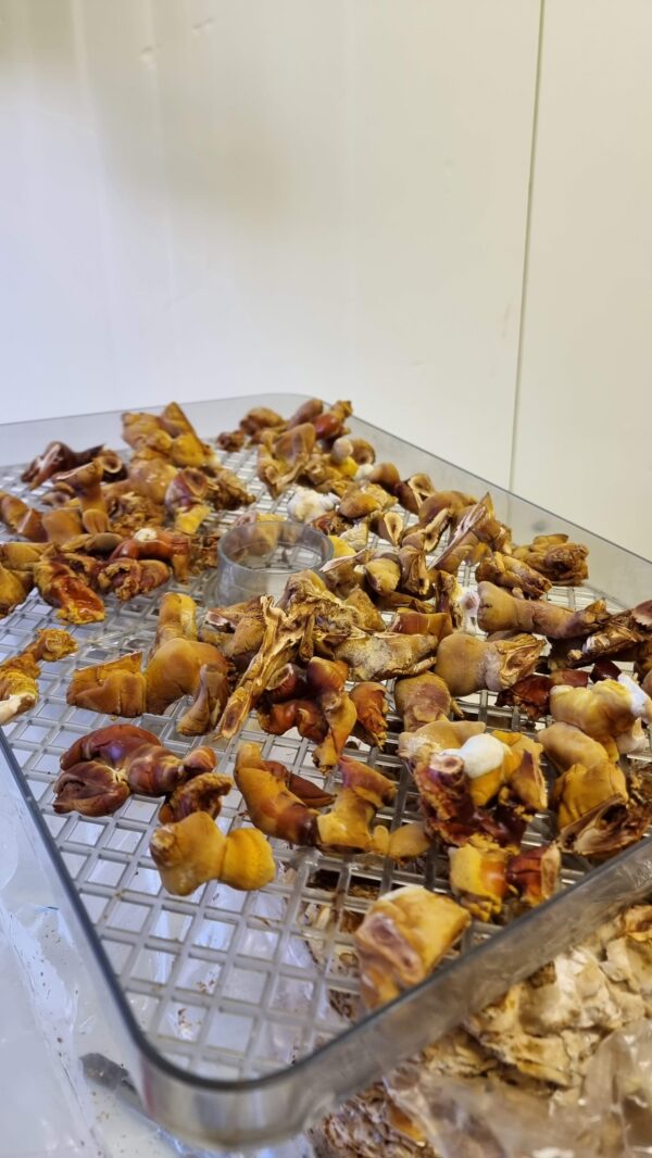 Džiovinti Reishi Milteliai