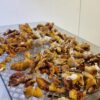 20250513_211211 Džiovinti Reishi Milteliai
