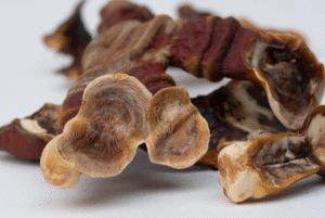 Džiovinti Reishi Milteliai
