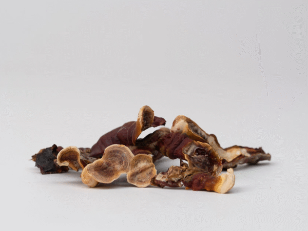 Džiovinti Reishi Milteliai