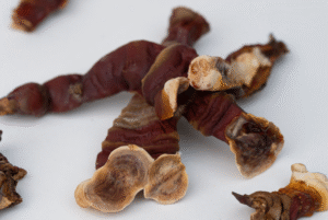 Džiovinti Reishi Milteliai