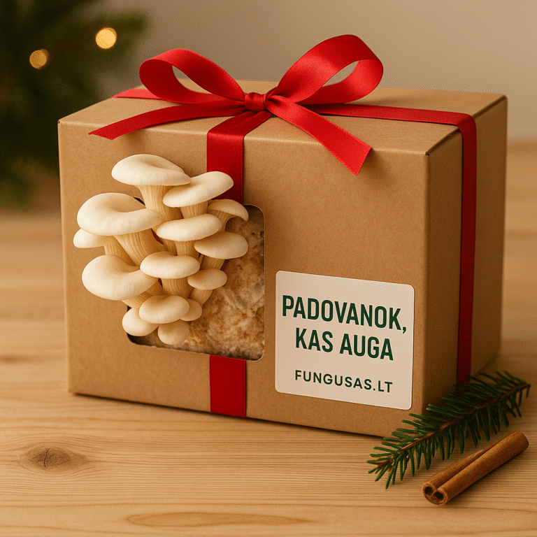 Padovanok kas auga