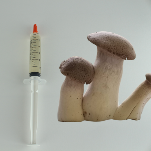 Karališkoji kreivabudė - Skysta kultūra 10ml
