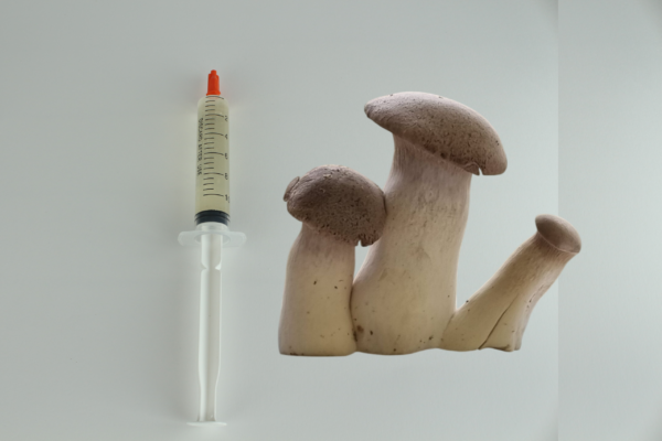 Dizainas be pavadinimo (14) Karališkoji kreivabudė - Skysta kultūra 10ml