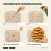 Kaštoniniai grybai: kaip auginti, 4 žingsniai
