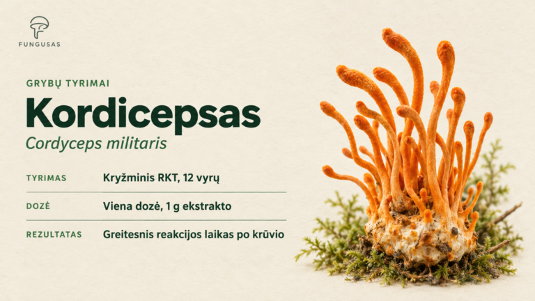 Kordicepsas tyrimai: ką rado dvigubai aklas tyrimas su 12 vyrų?
